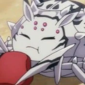 kumoko