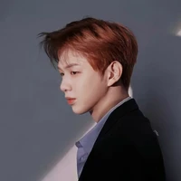 Kang Daniel (anh trai ả)