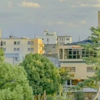 Người hâm mộ