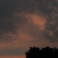 cả lớp