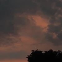 cả lớp