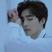 nguoiyeucuabacsithuy
