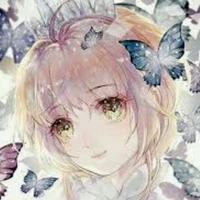Y/n