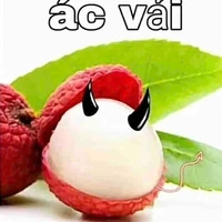 Cô bé acc vải