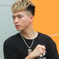 Việt Hoài (miter vịt)