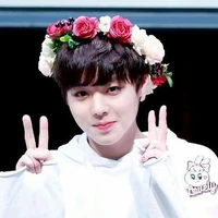 PARK JIHOON