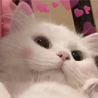 tg