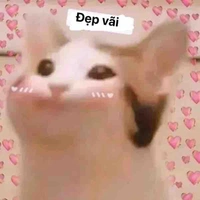 T/g đam mê boylove