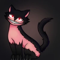 Grinny cat