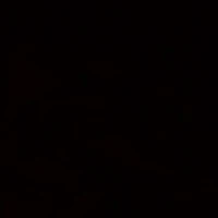 Haitani Kazuo( ba của AE Haitani)