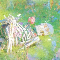 Các tinh linh nhỏ