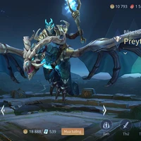 Preyta