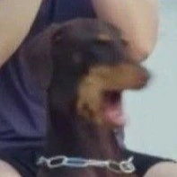 Bam