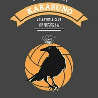 Karasuno team