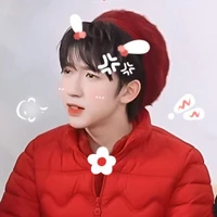 Hạ Tuấn Lâm