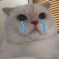 tác giả