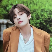 Kim TaeHyung_V_