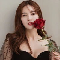 Ninh Dương Lan Ngọc(chị của vân)