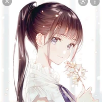 Mikipa