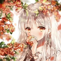 Nariyu Santo (chị nữ chính)