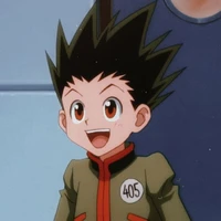 Gon Freecss