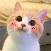 Tác giả ku te phô mai i que
