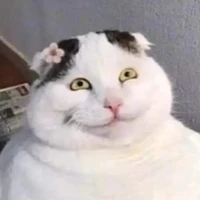 Kon tác giả xàm loz