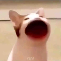 Con tác giả :))