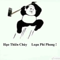 nv phụ