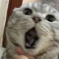 Tác giả máu lạnh