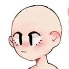 Y/n