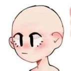 Y/n