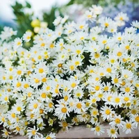 hội nằm dưới(sự yêu thương của TG)