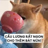 hội độc giả