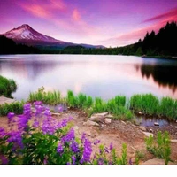 Địa điểm