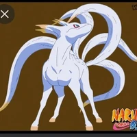 KoKuo