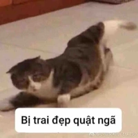 Tác giả
