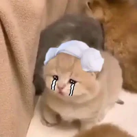 t/g trùm cuối