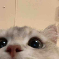 Ng đệp chu che👾