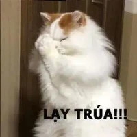 Tác giả