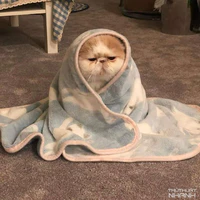 Tác Giả