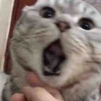 2 bé dợ kute:333