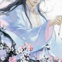 Đàm Song Tử 