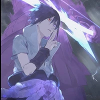 Sasuke (ship)