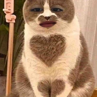 Mít