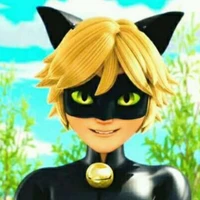 Chat Noir