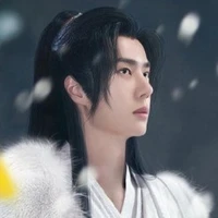 Vương Nhất Bác (Thái Tử Phi)