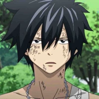 Gray Fullbuster