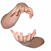 Cả lũ