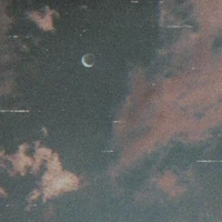 salyna ema